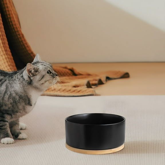 ACDANC Heated Pet Bowl - for Dogs Cats,Heated Pets Bowl,Outdoor Water Bowl for Rabbit Chicken Duck Squirrel,350ml/12.5oz Cat Feeding Station,No More Frozen Food or Water