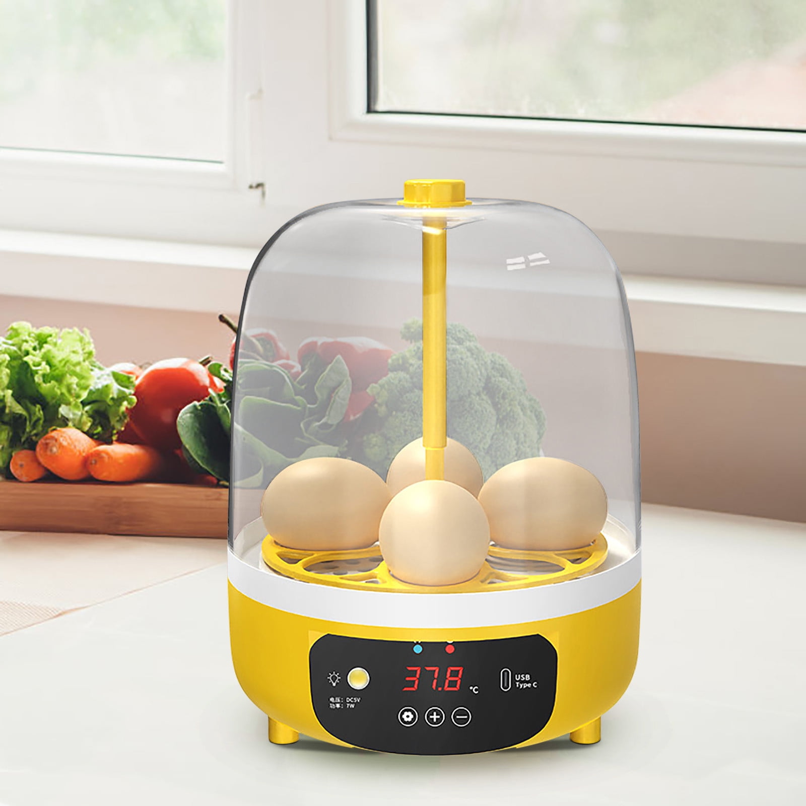 Danieerclosy Mini Egg Incubator for Kids with Temperature Display, Educational Chick Hatcher Kit for Classroom Science Projects & Homeschool Biology Learning