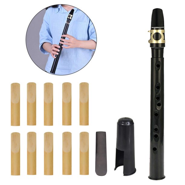 Pocket Saxophone,Mini Pocket Saxophone Woodwind Instrument,Mini