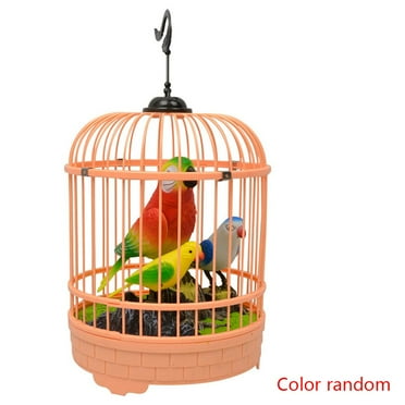 DigiBirds - Bird with Bird Cage - Black & Pink - Walmart.com