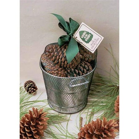 Goods Of The Woods 10108 Color Cones In Galvanized Bucket