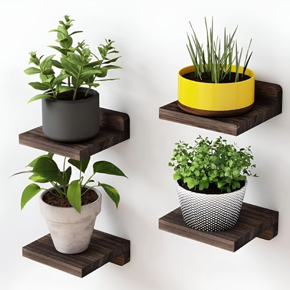 4-Pack Small Floating Shelves 5 Inch, Solid Wood Wall Display Ledges