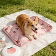 thumbnail image 6 of Summer Cooling Pet Mat 20x16 in, Breathable Ice Silk Dog Cat Pad for Crate Sofa Floor, Portable Washable Pet Bed Cushion for Hot Weather Indoor Outdoor Use, 6 of 6