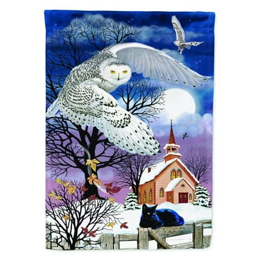 Carolines Treasures PRS4013GF Owl Halloween Moon Flag Garden Size  Small multicolor