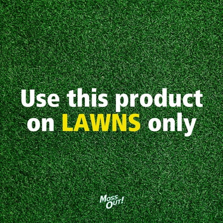 Lilly Miller Moss Out! Lawn Moss Killer Concentrate Herbicide, 1 Gallon