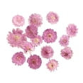 thumbnail image 1 of 10 x Hoja Flores Secas Decoración de Caja de Teléfono de Marcador de Libro - 4 Tipos - #2 02 Sunnimix Flor seca prensada, 1 of 8
