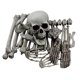 thumbnail image 3 of XONOR 28 Piezas de esqueletos y calaveras para decoración de Halloween, 3 of 3