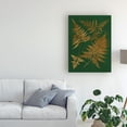 thumbnail image 3 of Trademark Fine Art 'Gilded Ferns II' Canvas Art by Vision Studio, 3 of 3