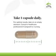 thumbnail image 4 of Terry Naturally Adaptra - 60 Capsules (Pack of 2), 4 of 7