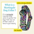 thumbnail image 3 of Country Brook Petz® Electric Leopard Martingale Dog Collar, Medium, 3 of 7