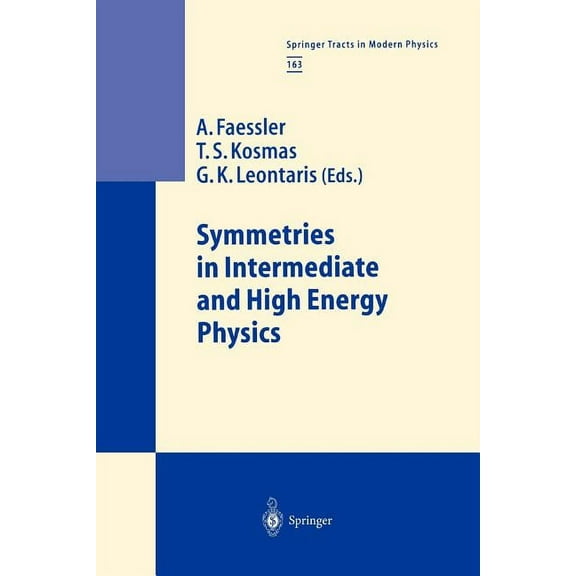 Springer Tracts in Modern Physics Symmetries in Intermediate and High Energy Physics, Book 163, (Paperback)