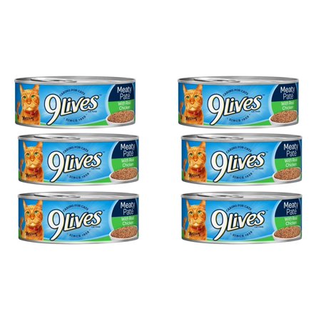 Tasty & Healthy Wet Cat Food for Kittens and Adult Cats | Premium & Real Chicken Canned Cat Food | Grain Free Pate Cat Food in Can for Every Cat's Complete Daily Nutrition | 5.5 OZ Per Can, 6 Cans