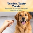thumbnail image 4 of Blue Buffalo True Chews Premium Morsels Chicken-Free Natural Dog Treats, Steak, 10oz., 4 of 9