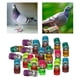 thumbnail image 5 of 100Pieces 2022 Aluminio Bird Racing Pierna Anillos Bandas 8 mm para 2022 Zulema Bandas para piernas de paloma, 5 of 8