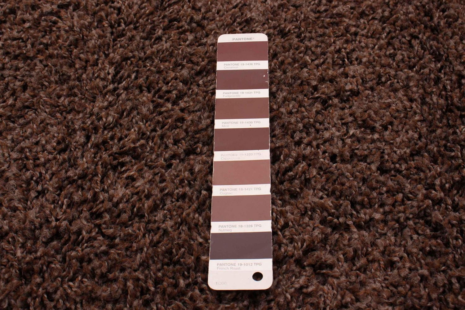 Tapis ECARPET Lotus Mod Brun 4'0" x 5'8"