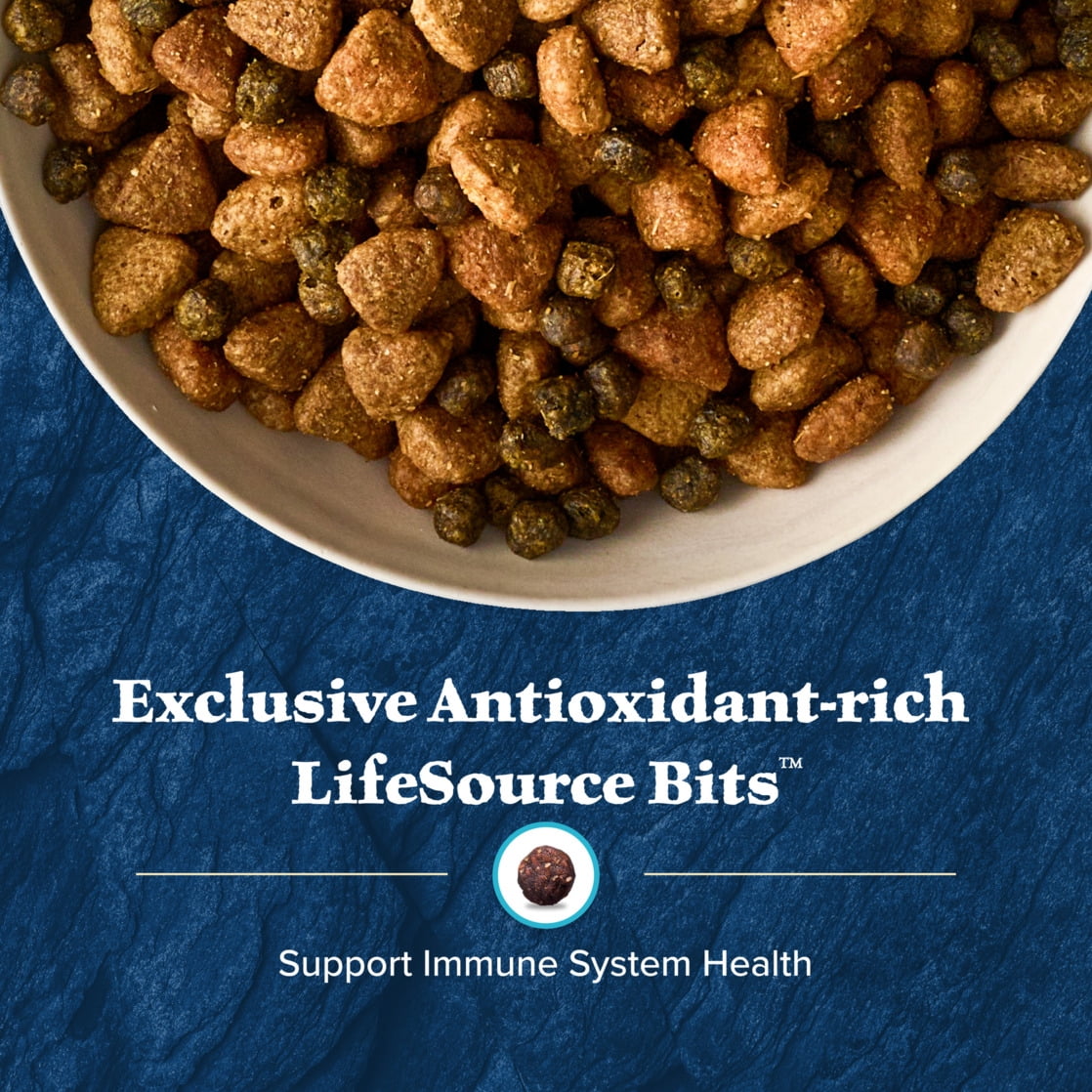 Blue Buffalo Wilderness Natural High-Protein Dry Food for Large Breed Dogs, Bison, 28-lb bag.