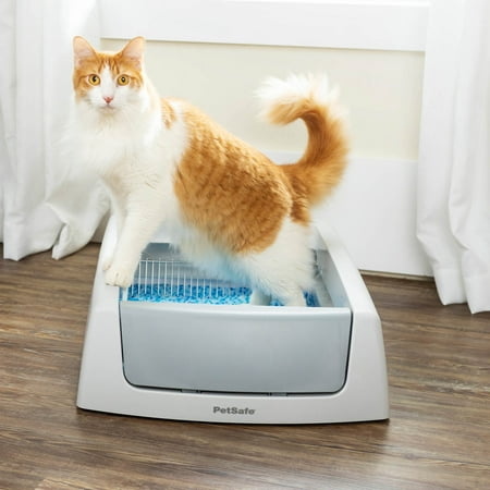 PetSafe ScoopFree Complete Classic Self-Cleaning Cat Litter Box