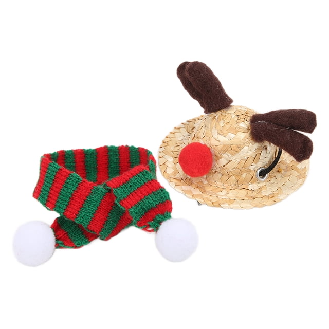 Reptiles Straw Hat Scarf Set,Bearded Dragon Santa Hat Bearded Dragon Santa Hat Scarf Lizard Christmas Decoration Multi-Functional