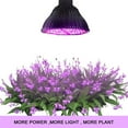 thumbnail image 4 of Incredible Plant Lamp, Broad Spectrum for Flourishing Indoor Plants, Efficient 50W 78PCS LEDs (Full Spectrum), 4 of 7