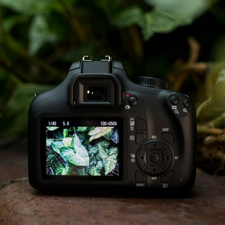 Canon EOS 4000D + 18-55mm IS Noir + Carte SD Sandisk 32 GO + Trépied  Manfrotto Compact Action - Appareil photo Reflex Canon sur