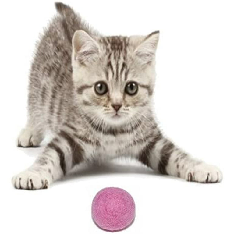 Comfy Pet Supplies ,Set of 6,-100% Wool Felt Ball Toys for Cats and  Kittens, Handmade Colorful Eco-Friendly Cat Wool Balls,6 colors