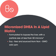 thumbnail image 6 of ARG DHEA 25 Micronized Lipid Matrix - Supports Hormone Balance & Brain Function - Delivers 25 mg DHEA - Micronized & Plant Sourced - Hypoallergenic - 60 Servings - 60 Capsules, 6 of 7