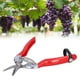 thumbnail image 5 of Tijeras de Podar Cortador de Jardín Tijeras de Podar Tijeras Tijeras para Recoger Frutas Y Flores para Podar Ramas de Flores Y Poda de Jardinería ANGGREK Otros, 5 of 8