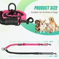 thumbnail image 4 of AUTOWT Two Dog Lead, 2 in 1 Adjustable Strap and Shock Absorbing Bungee No Tangle Dual Training Splitter Fit All Sizes, 4 of 8