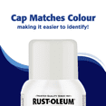 thumbnail image 4 of Rust-Oleum Interior/Exterior Low Odour Spray Paint in Gloss Snow White, 312g, 4 of 10