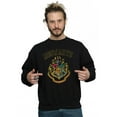 thumbnail image 2 of Harry Potter Chandail en Molleton Style Universitaire pour Hommes avec Blason, 2 of 3