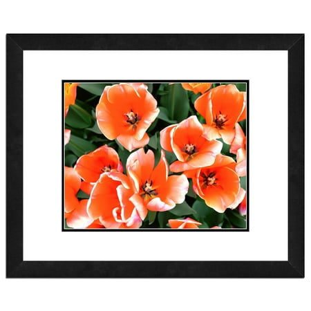 - Tulips, Flowers Framed Photo by Photo File