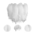 thumbnail image 2 of 100 Plumas Ave Ganso Pavo Decorativa Mide Entre 10cm A 15cm BLANCO, 2 of 5