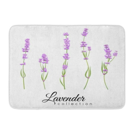 GODPOK Purple Agriculture Lavender Collection with Summer Flower White for Wedding Birthday Holiday Design Aroma Rug Doormat Bath Mat 23.6x15.7 inch