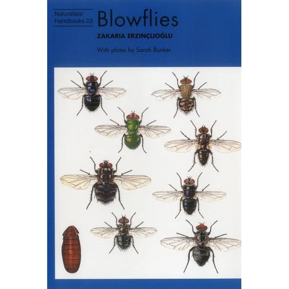 Naturalists' Handbooks: Blowflies (Edition 1) (Paperback)
