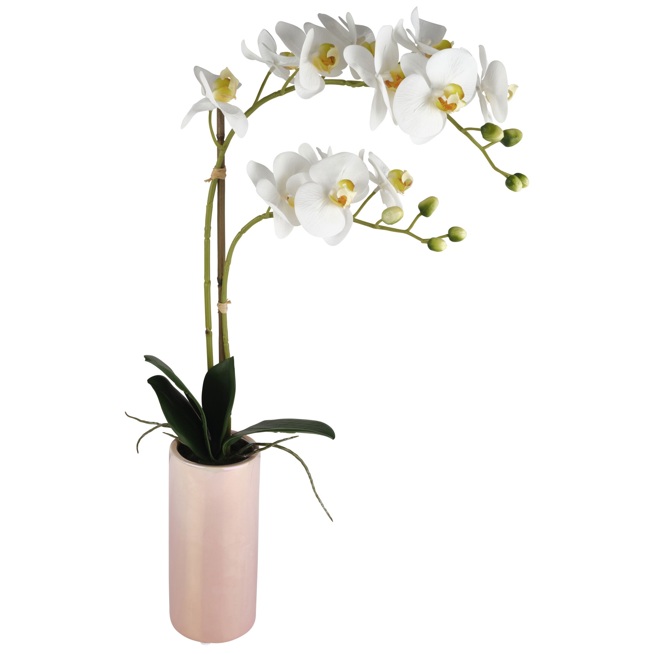 Dolly Parton 24 in Real Touch Artfcial White Orchid