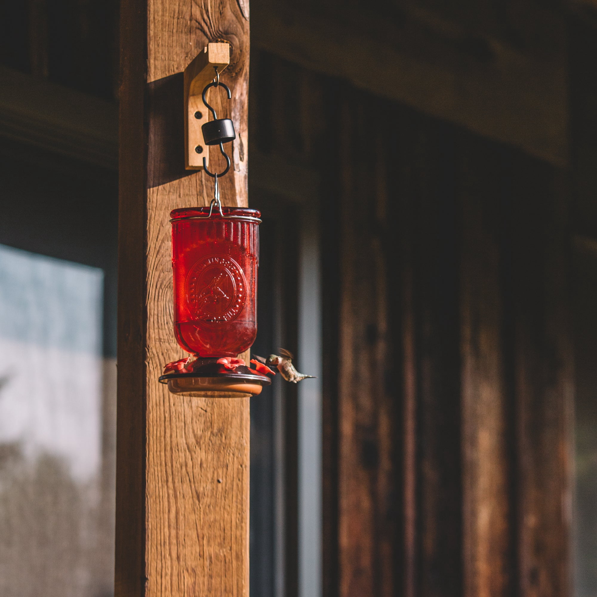 Backyard Expressions Red Embossed Oval Glass Hummingbird Feeder with Feeding Ports
