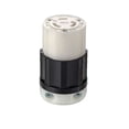 thumbnail image 1 of Enchufe eléctrico Leviton, conector de bloqueo sin conexión a tierra, 20 A, 125/250 V, 1 of 1