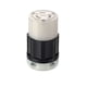 thumbnail image 1 of Enchufe eléctrico Leviton, conector de bloqueo sin conexión a tierra, 20 A, 125/250 V, 1 of 1