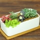 thumbnail image 4 of Maceta decorativa rectangular blanca para suculentas, maceta blanca para cactus con bandeja de madera, 4 of 5