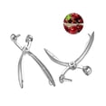 thumbnail image 4 of deshuesador de cerezas de metal plateado, fácil de quitar, herramienta manual para quitar el hueso de la aceituna, para cocina, frutas y verduras s202412244291, 4 of 5