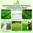 thumbnail image 2 of Outsidepride OptiGrowth-Enhanced Midnight Kentucky Bluegrass Grass Seeds, 1 lb - Slow Growth, 2 of 5