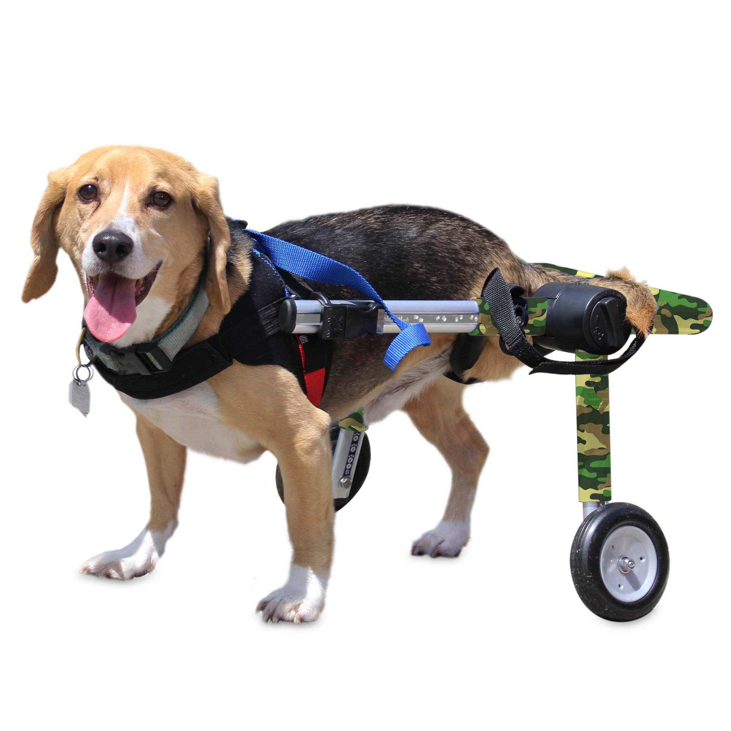 Walkin' Wheels Dog Wheelchair for Med/Large Dogs 5069 Pounds Veterinarian Approved Dog