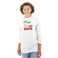 thumbnail image 3 of I Put Out For Santa Christmas Cookies Plus Size Long Sleeve Graphic Tee Shirt Brisco Brands 2X, 3 of 5