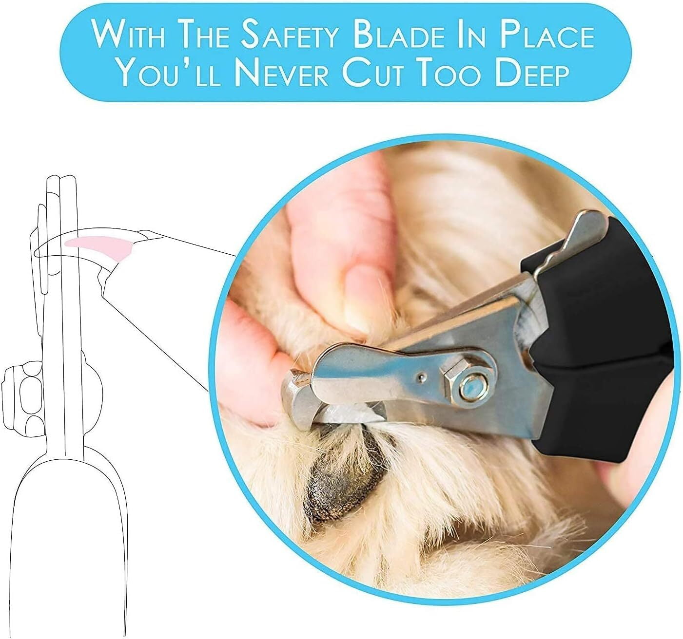 how to hold dog nail clippers