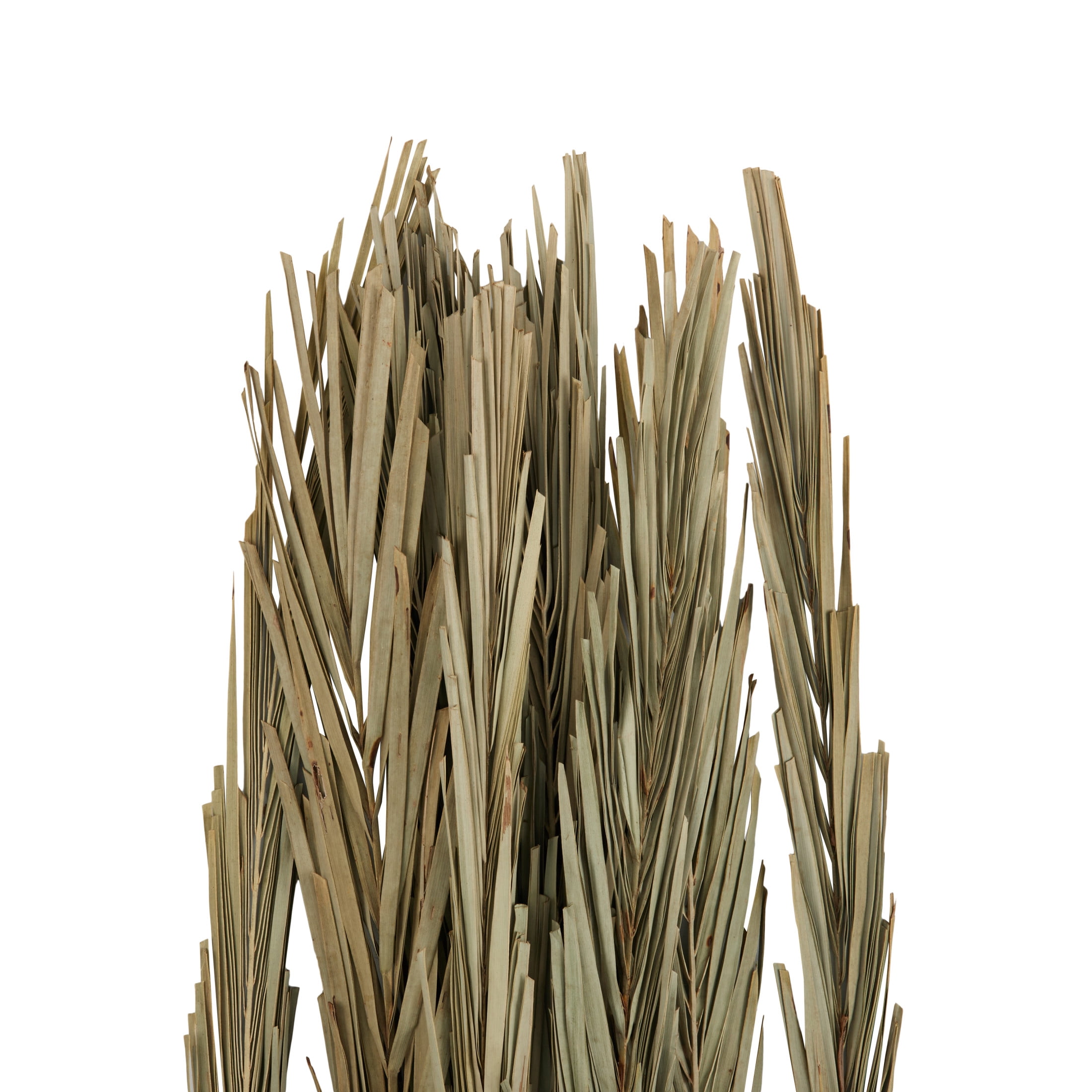 61" Tall Palm Leaf Natural Foliage Bouquet with Grass, by DecMode
