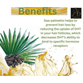 Saw Palmetto Oil Hair Loss Treatment with Rosemary Essential, Tea Tree