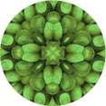 thumbnail image 1 of Ahgly Company Machine Washable Indoor Round Transitional Green Area Rugs, 4' Round, 1 of 7