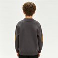 thumbnail image 3 of Grblisyd Boys Long Sleeve Shirts Kids Fall Pullover Tops Sweatshirts Casual Crewneck Hoodless Sweatshirts Tops, 3 of 3