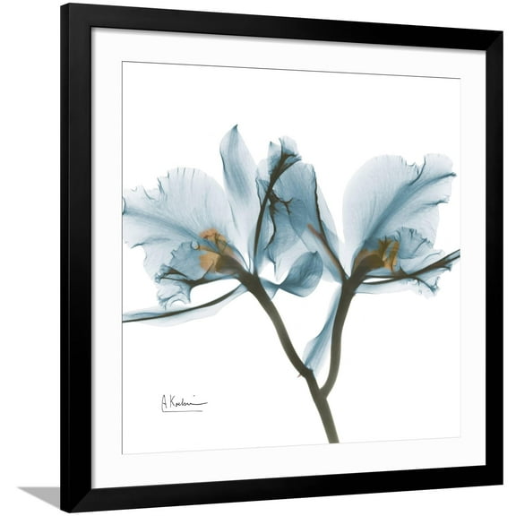 Art.com Orchid Blue Art Print by Albert Koetsier, Black Frame Wall Art, 38" x 38"