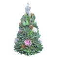 thumbnail image 2 of Arte de árbol de Navidad falso, escultura de jardín, artesanías de resina, Mini plantas encantadoras para estante, regalo de decoración del Suculentas A Sunnimix Estatua del árbol de resina, 2 of 8